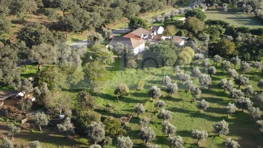 Quinta T2 para Venda em Santiago do Escoural