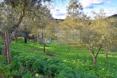Quinta T7 para Venda em Nossa Senhora da Vila, Nossa Senhora do Bispo e Silveiras