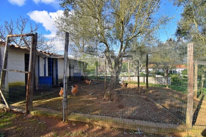 Quinta T7 para Venda em Nossa Senhora da Vila, Nossa Senhora do Bispo e Silveiras