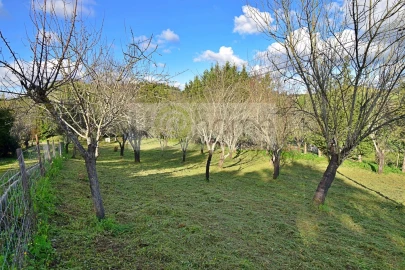 Quinta T7 para Venda em Nossa Senhora da Vila, Nossa Senhora do Bispo e Silveiras