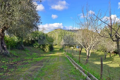 Quinta T7 para Venda em Nossa Senhora da Vila, Nossa Senhora do Bispo e Silveiras