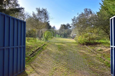 Quinta T7 para Venda em Nossa Senhora da Vila, Nossa Senhora do Bispo e Silveiras