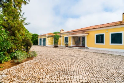 Quinta T4 para Venda em Santo Estêvão
