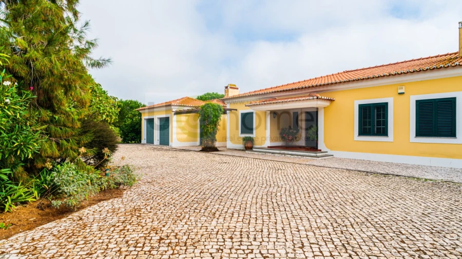Quinta T4 para Venda em Santo Estêvão