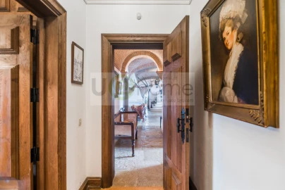 Quinta T8 para Venda em Santo Estêvão
