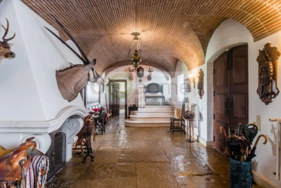 Quinta T8 para Venda em Santo Estêvão