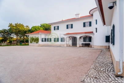 Quinta T8 para Venda em Santo Estêvão