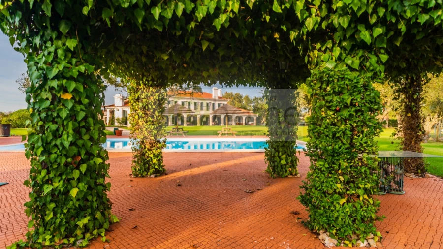 Quinta T8 para Venda em Santo Estêvão