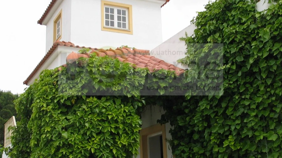 Quinta T11 para Venda em São João das Lampas e Terrugem