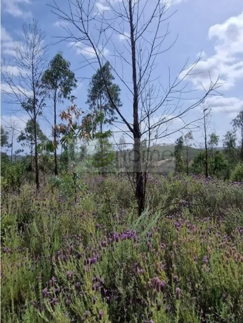 Terreno para Venda em Portimão