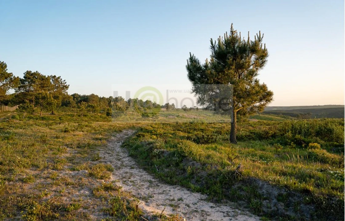 Quinta T4 para Venda em Vila do Bispo e Raposeira Foto 14