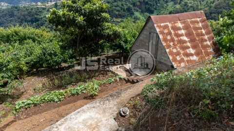 Terreno para Venda em Santana