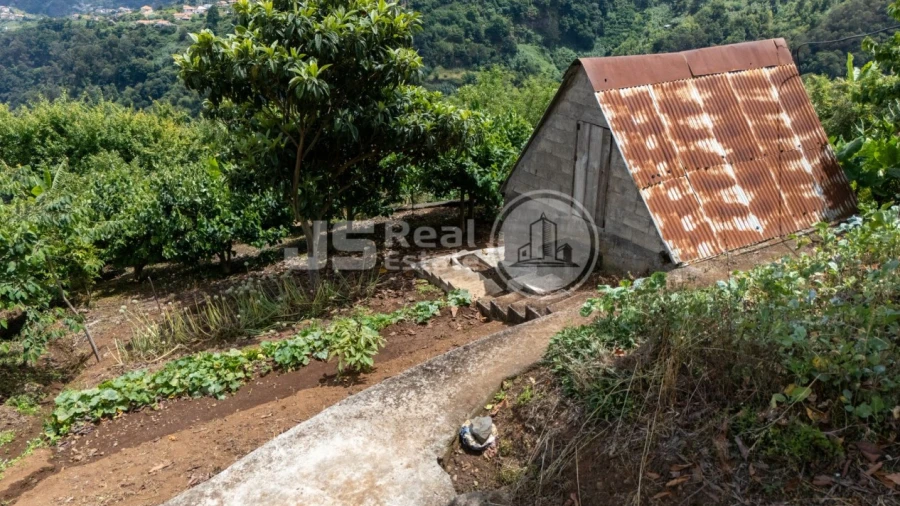 Terreno para Venda em Santana