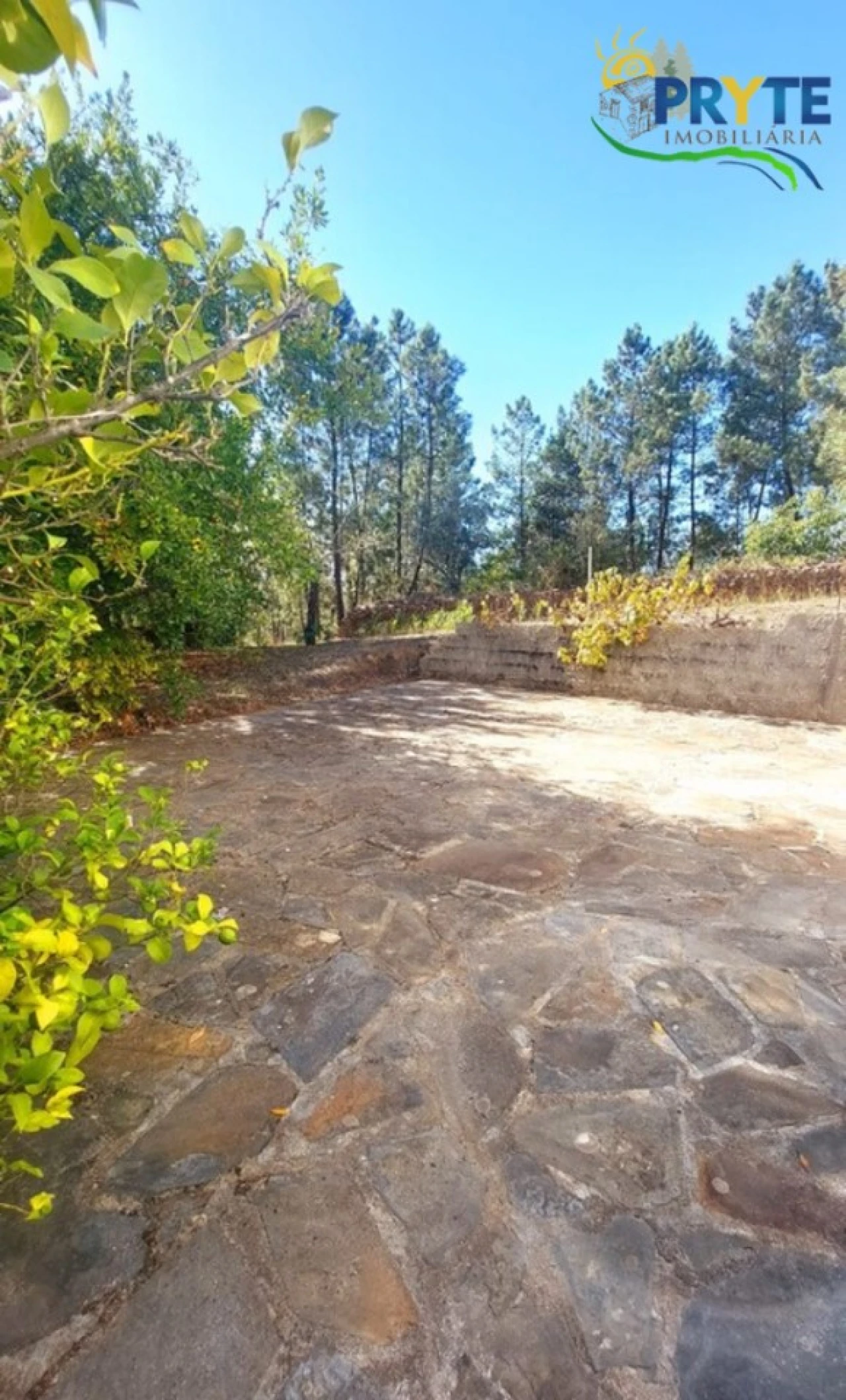 Moradia T2 para Venda em Sertã Foto 49