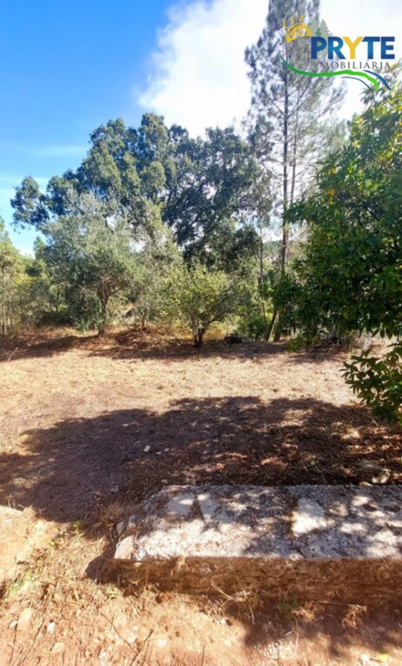 Moradia T2 para Venda em Sertã Foto 50