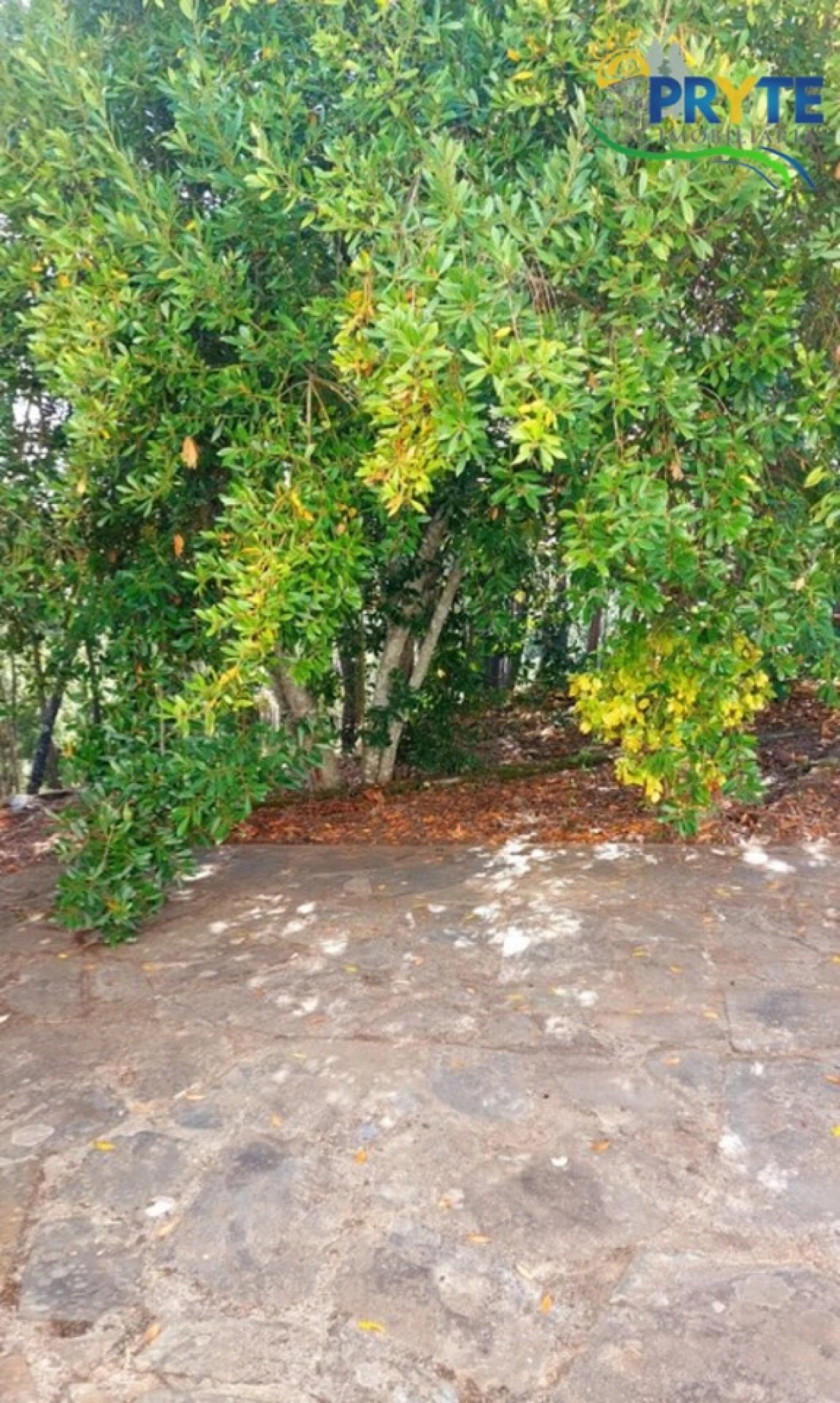 Moradia T2 para Venda em Sertã Foto 53