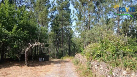 Moradia T2 para Venda em Sertã