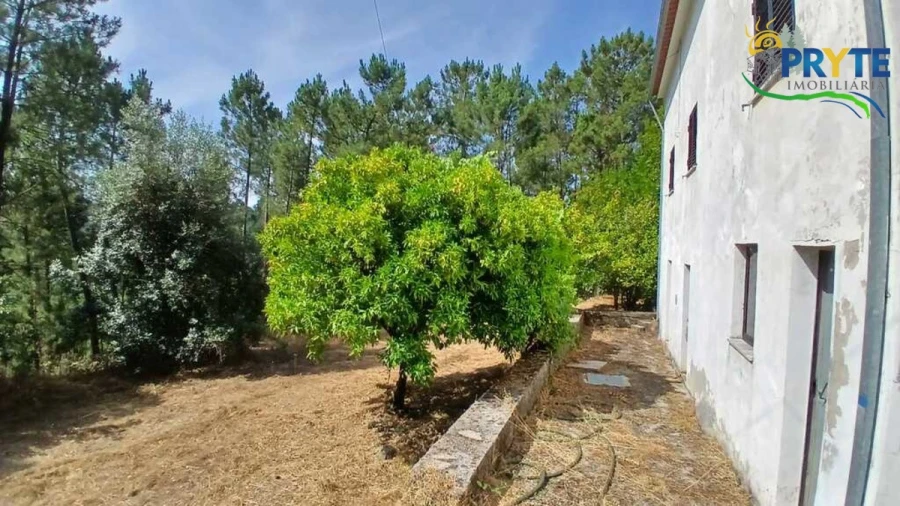 Moradia T2 para Venda em Sertã Foto 5