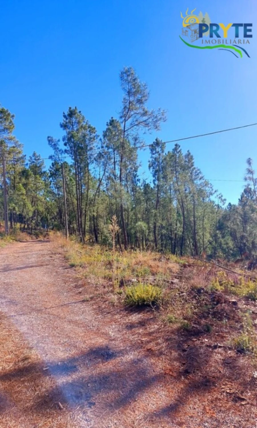 Moradia T2 para Venda em Sertã Foto 17