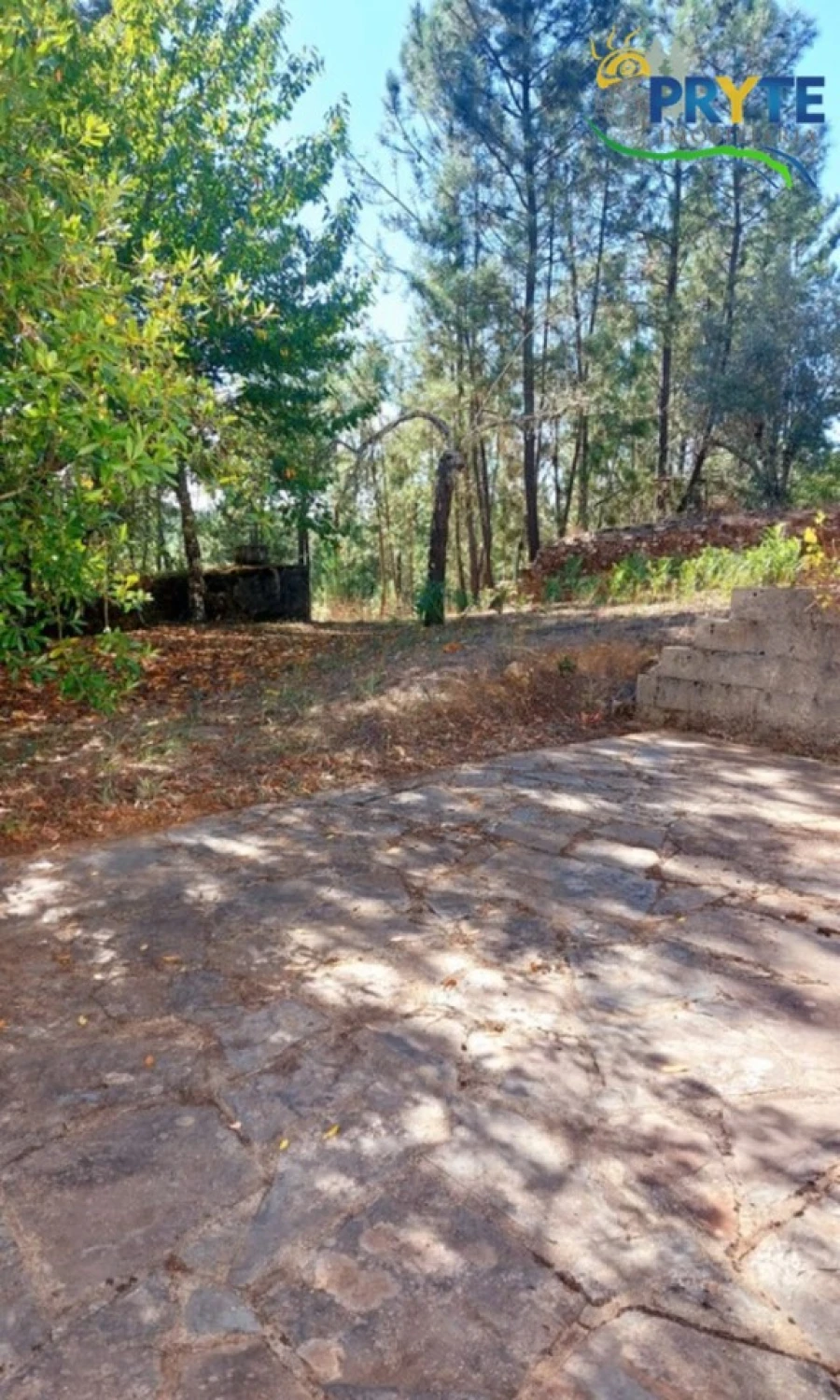 Moradia T2 para Venda em Sertã Foto 52