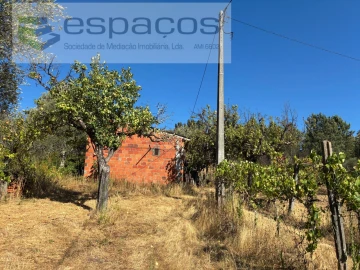 Quinta para Venda em Paul