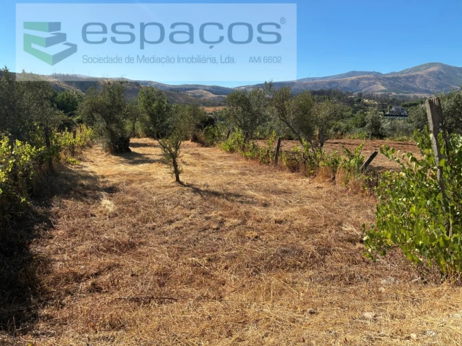 Quinta para Venda em Paul Foto 35