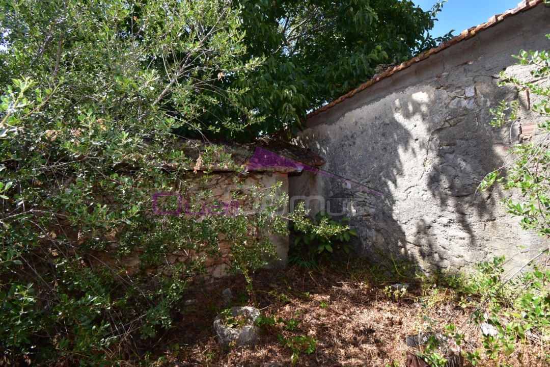 Moradia T2 para Venda em Brogueira, Parceiros de Igreja e Alcorochel Foto 28