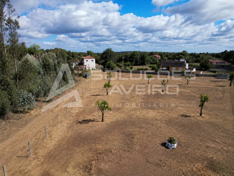 Terreno para Venda em Valongo do Vouga Foto 3