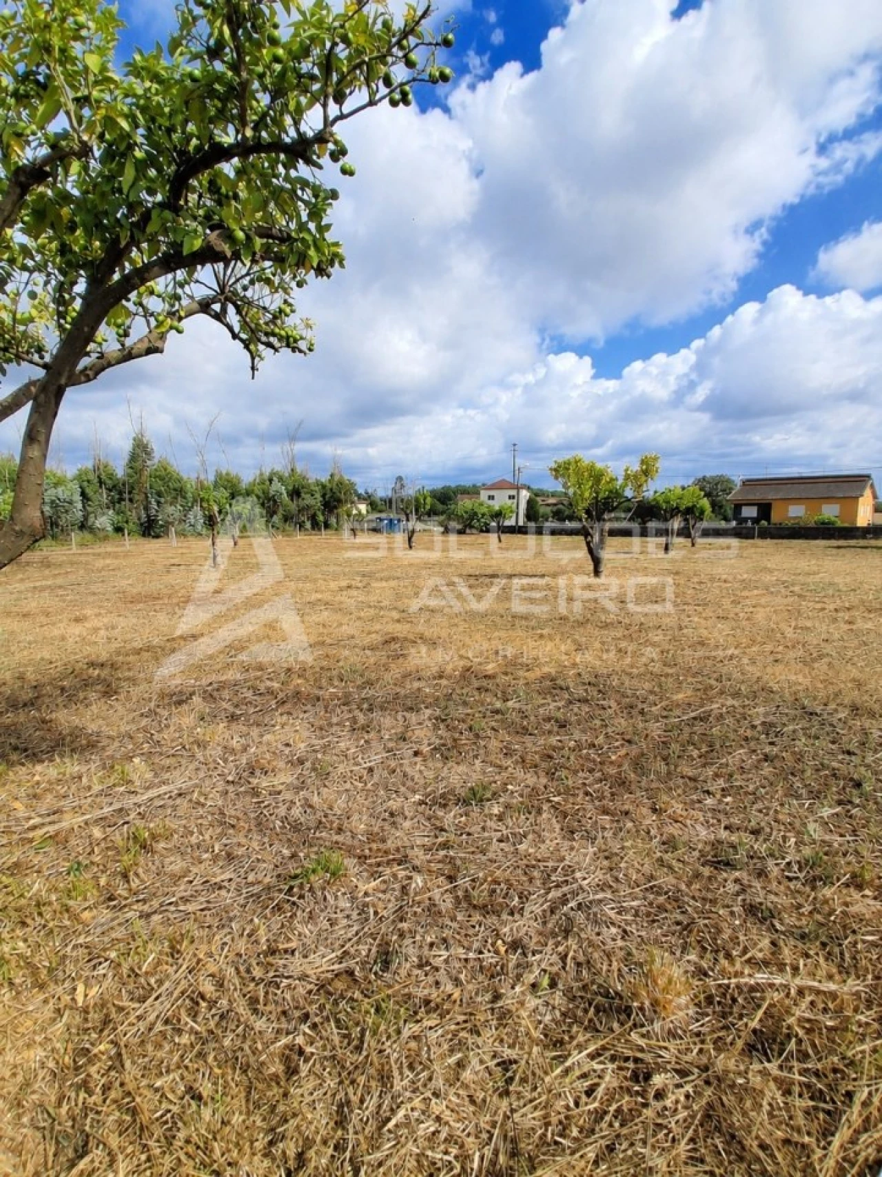 Terreno para Venda em Valongo do Vouga Foto 4