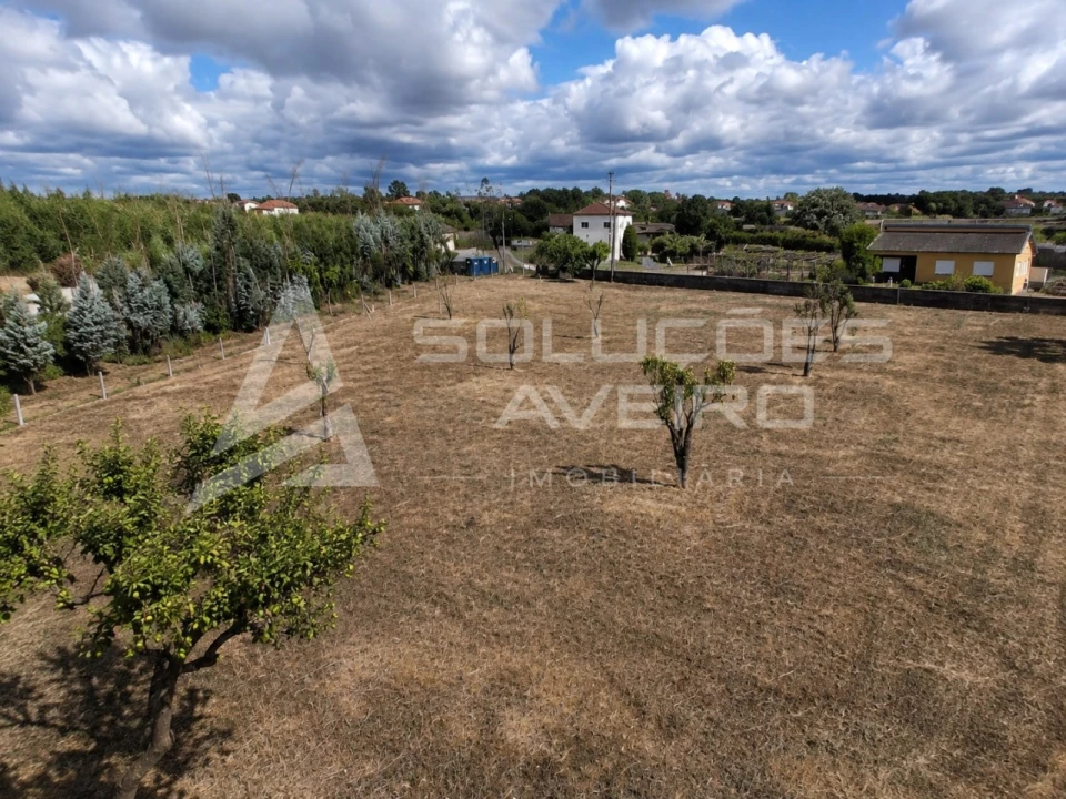 Terreno para Venda em Valongo do Vouga Foto 5