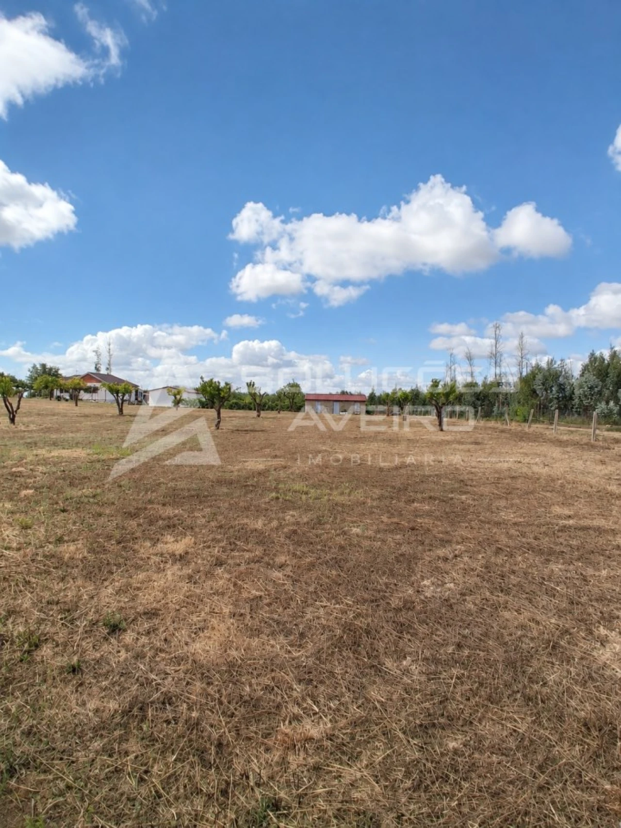 Terreno para Venda em Valongo do Vouga Foto 6
