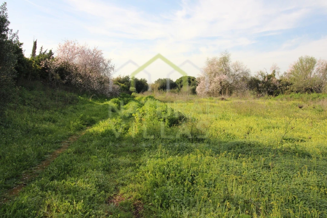 Terreno Agricola ou Rústico para Venda em Faro (Sé e São Pedro) Foto 8
