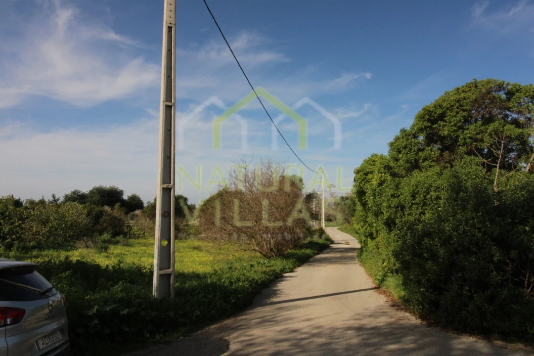 Terreno Agricola ou Rústico para Venda em Faro (Sé e São Pedro) Foto 6