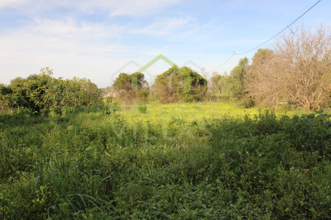 Terreno Agricola ou Rústico para Venda em Faro (Sé e São Pedro) Foto 7