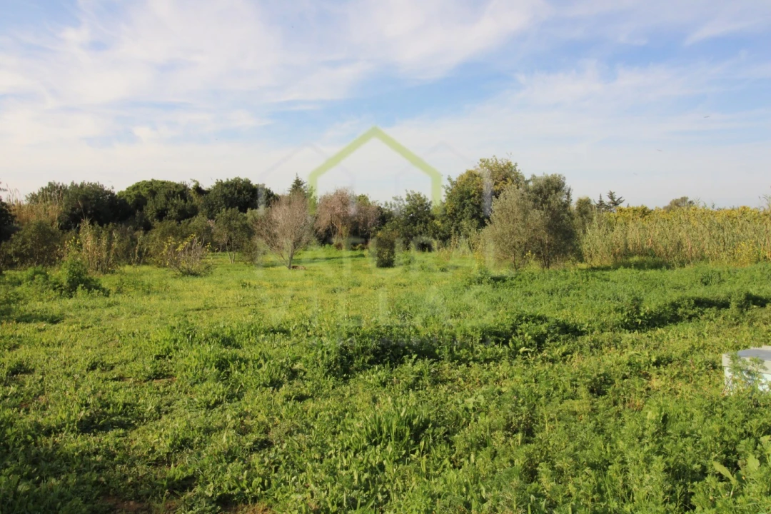 Terreno Agricola ou Rústico para Venda em Faro (Sé e São Pedro) Foto 5