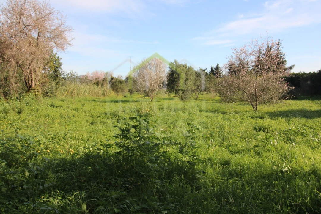 Terreno Agricola ou Rústico para Venda em Faro (Sé e São Pedro) Foto 1