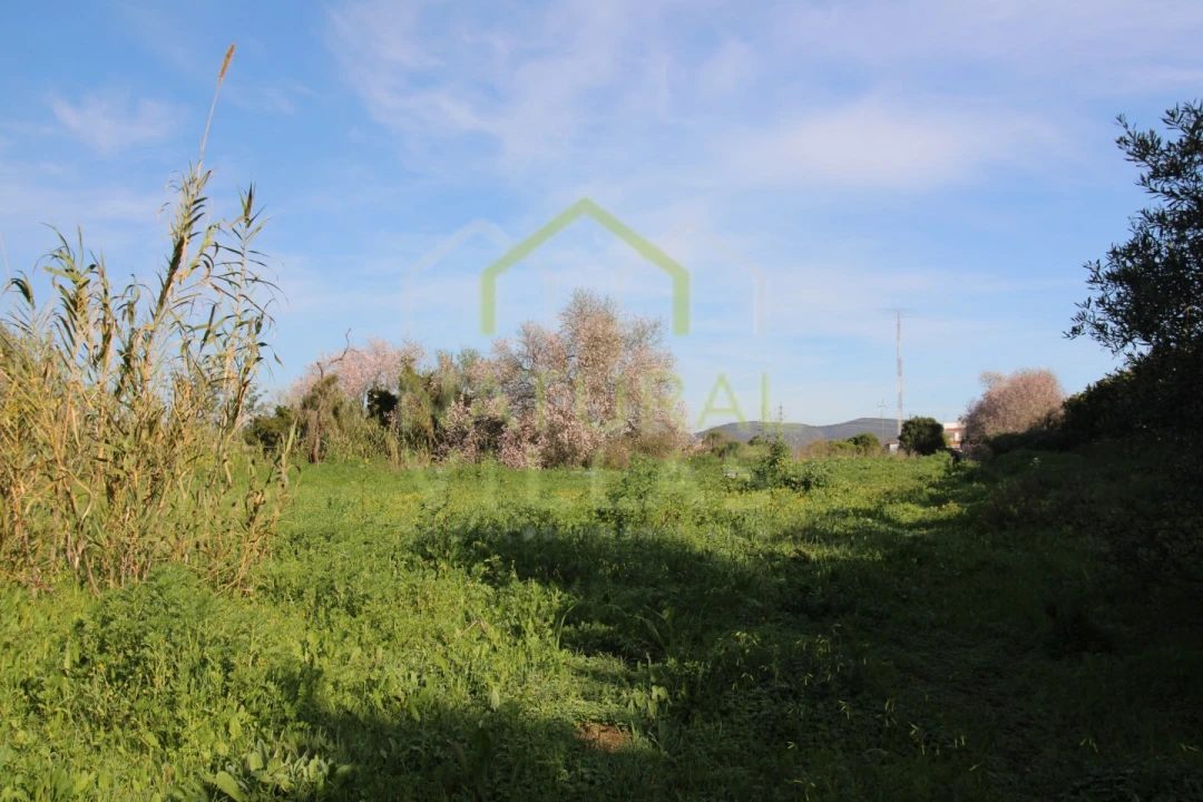Terreno Agricola ou Rústico para Venda em Faro (Sé e São Pedro) Foto 3