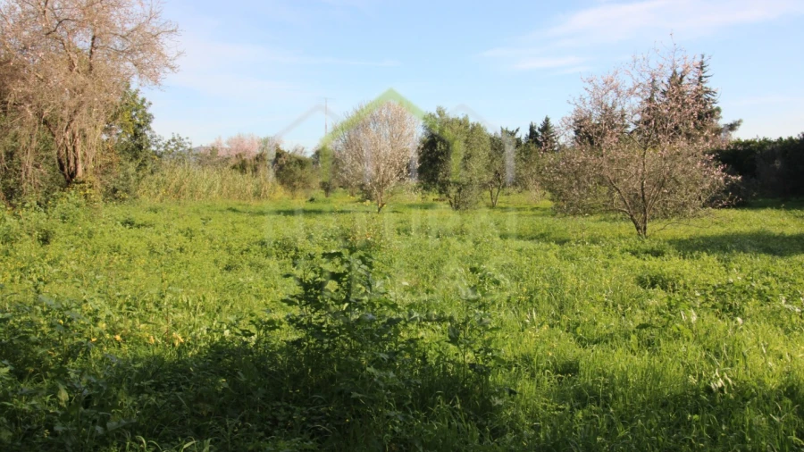 Terreno Agricola ou Rústico para Venda em Faro (Sé e São Pedro)