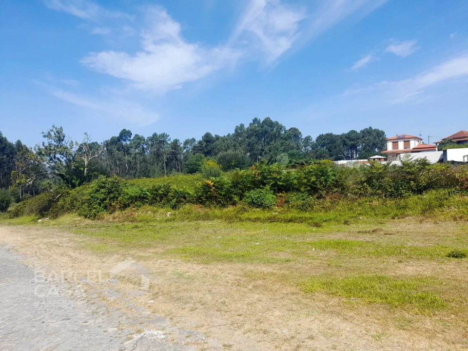 Terreno para Venda em Alvarães Foto 2