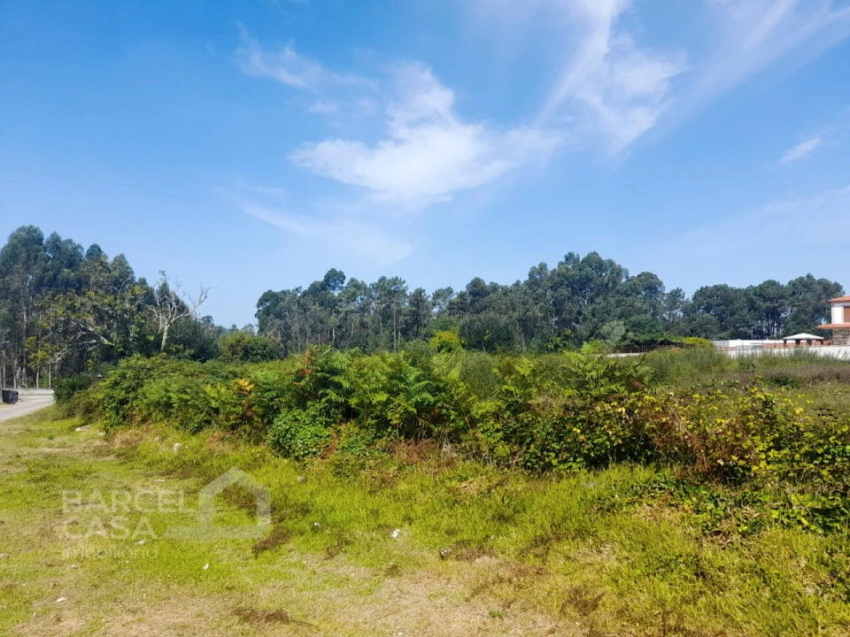 Terreno para Venda em Alvarães Foto 5
