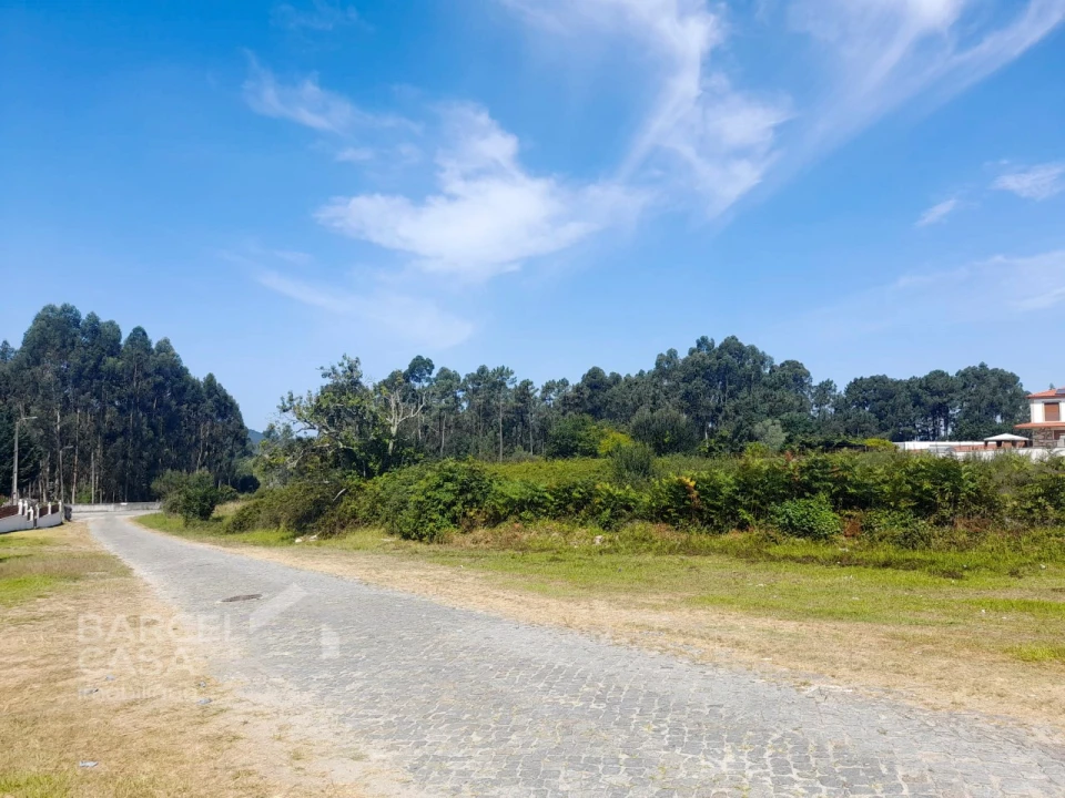 Terreno para Venda em Alvarães Foto 1