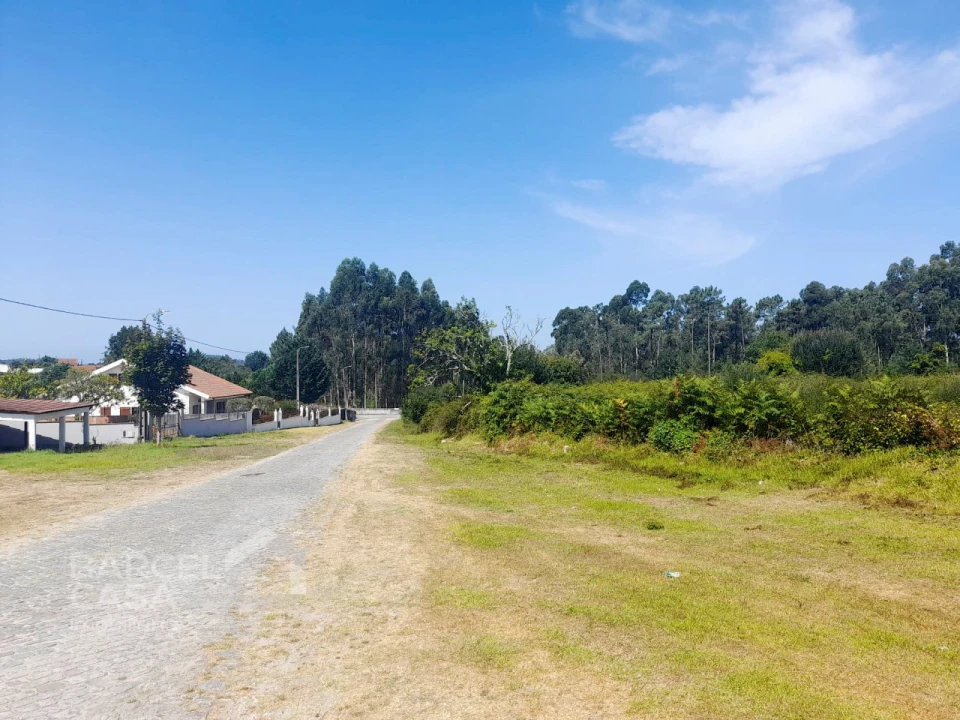 Terreno para Venda em Alvarães Foto 6