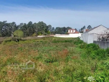 Terreno para Venda em Alvarães