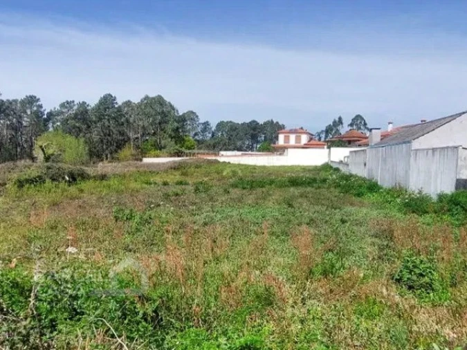 Terreno para Venda em Alvarães Foto 3
