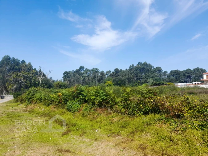 Terreno para Venda em Alvarães Foto 5