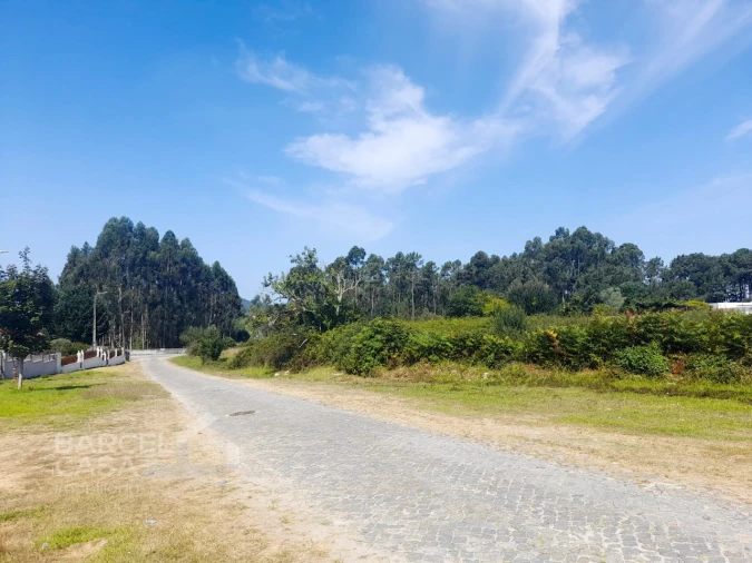 Terreno para Venda em Alvarães Foto 7
