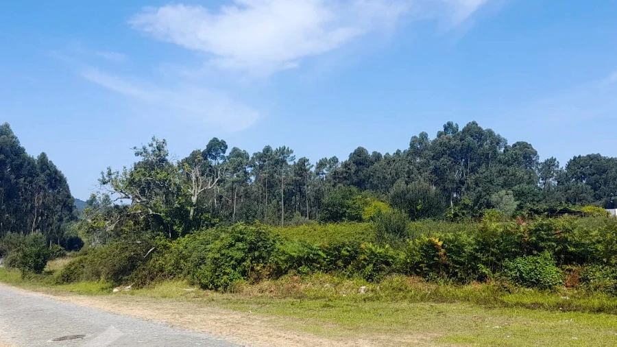Terreno para Venda em Alvarães