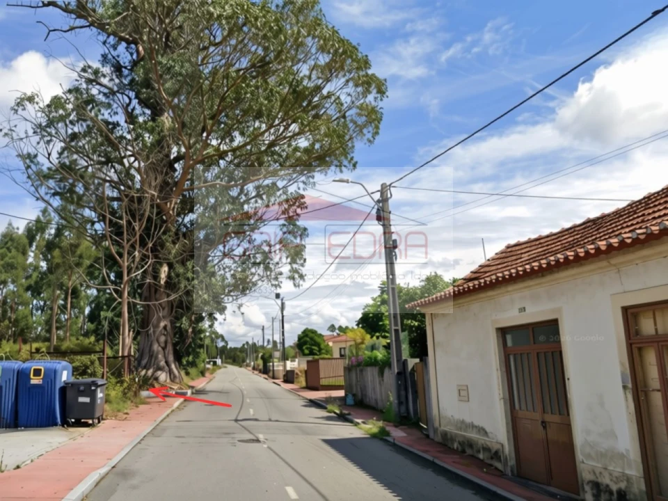 Terreno para Venda em Ovar, São João, Arada e São Vicente de Pereira Jusã Foto 3
