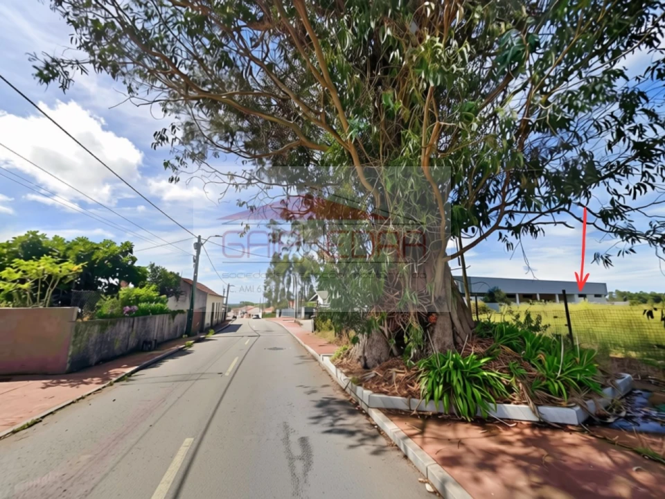 Terreno para Venda em Ovar, São João, Arada e São Vicente de Pereira Jusã Foto 4