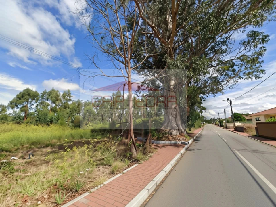 Terreno para Venda em Ovar, São João, Arada e São Vicente de Pereira Jusã Foto 5